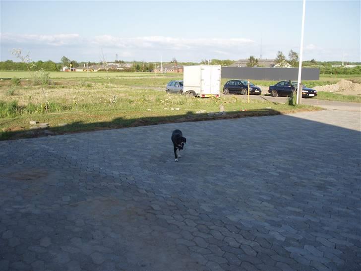 Skodborg mc - Tessa inspicerer lige arbejdet lidt. billede 1