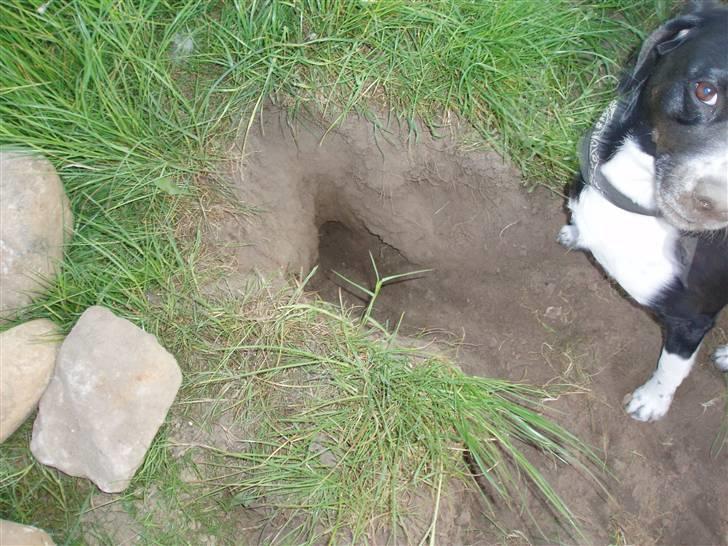 Skodborg mc - Jeg er snart færdig, regner med at flytte ind i næste uge....:-) billede 18