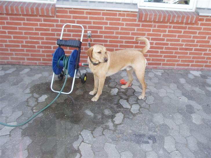 Skodborg mc - Er der nogen der gider åbne for vandet igen...? billede 24