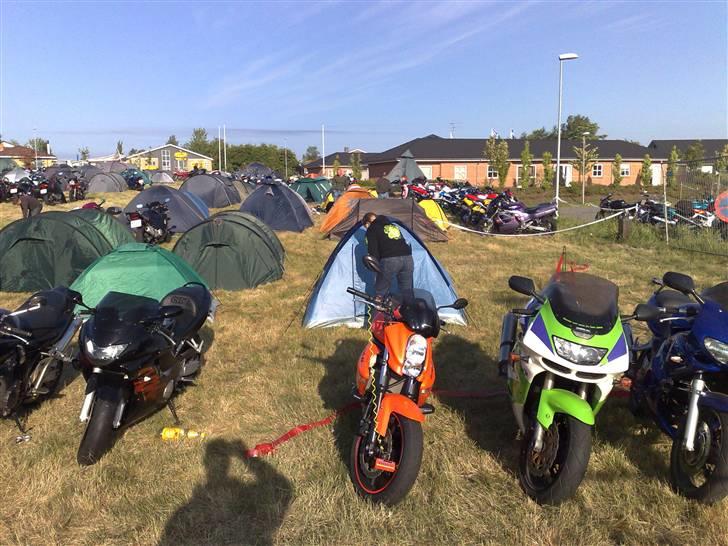 Himmerland - Vores lille camp billede 21