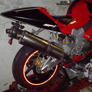 Ny bagende og Akrapovic racing...