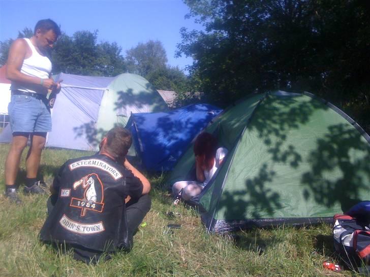 CC Tigers fredag billede 35