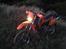 Offroad igen d. 22.07.08 - Mudderharleyen