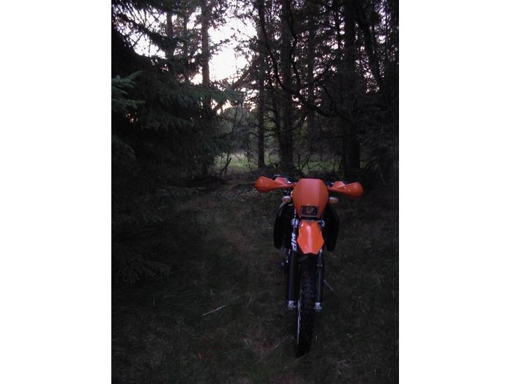 Offroad igen d. 22.07.08 - Pisse pause i skoven billede 0