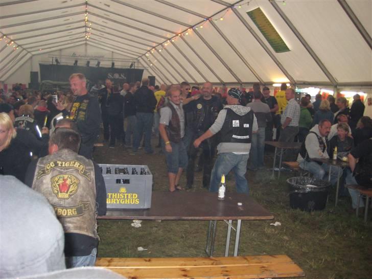 Thy-træf billede 230