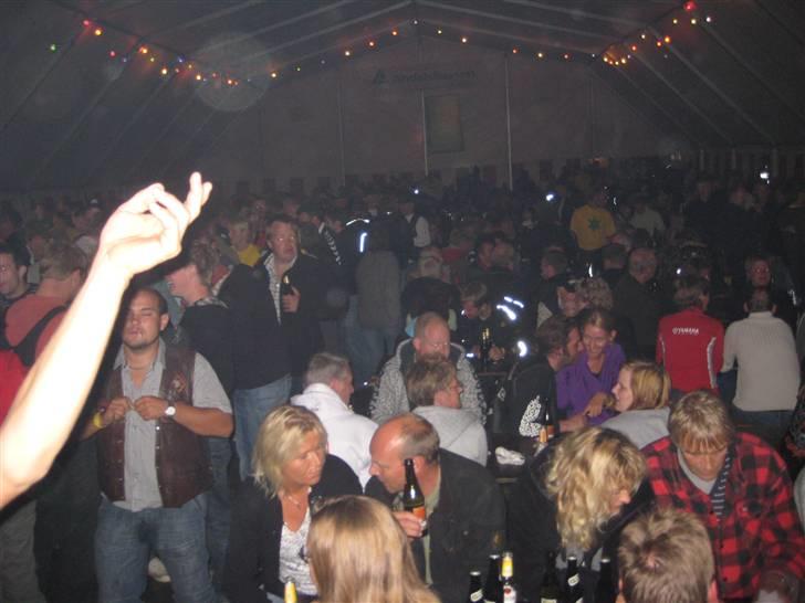 Thy-træf billede 267