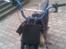 Min 150 cc loncin