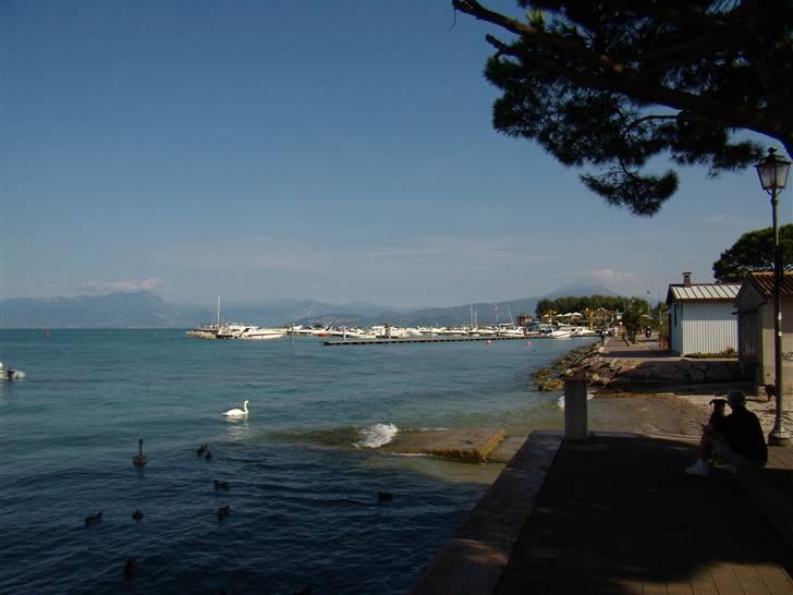 Italien 2008 - Gardarsøen - helt utrolig smuk,- vi snakkede lidt om tur rundt om søen, på en anden tur.. billede 63