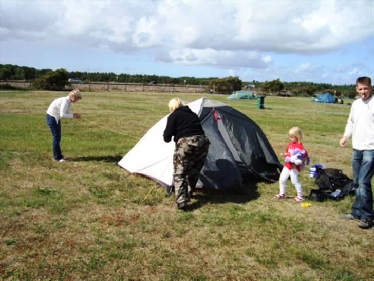 Træf på toppen 2008 med MYGGENE billede 1