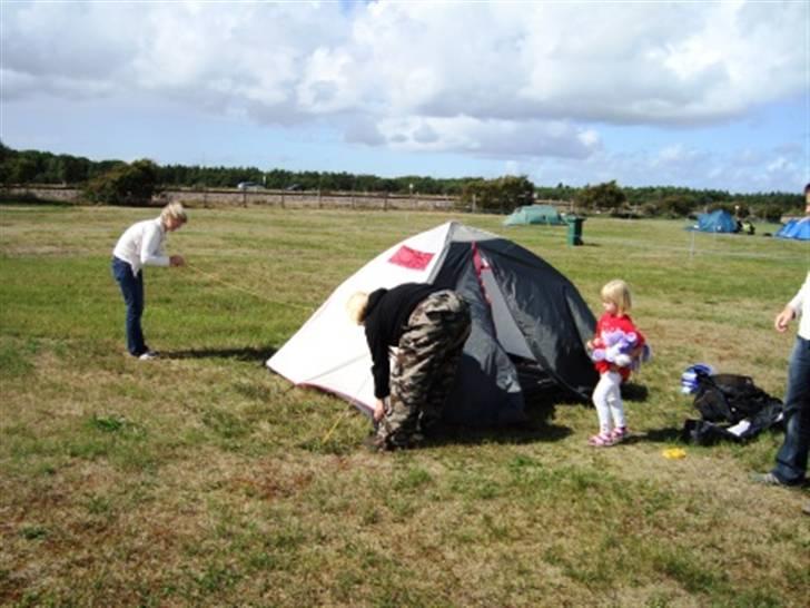 Træf på toppen 2008 med MYGGENE billede 2
