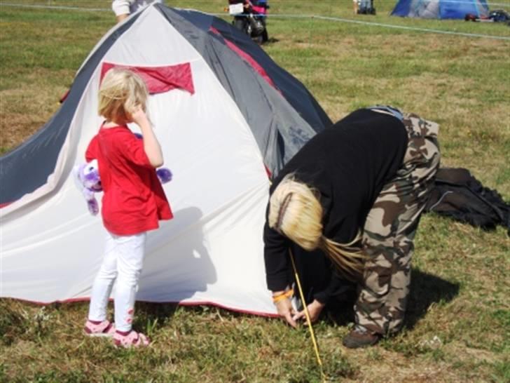 Træf på toppen 2008 med MYGGENE billede 4
