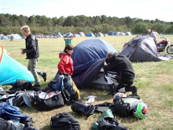 Træf på toppen 2008 med MYGGENE billede 5