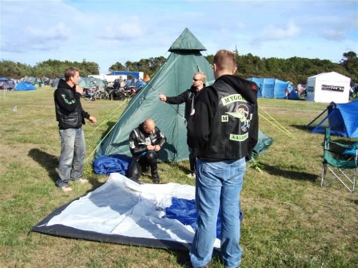 Træf på toppen 2008 med MYGGENE billede 7