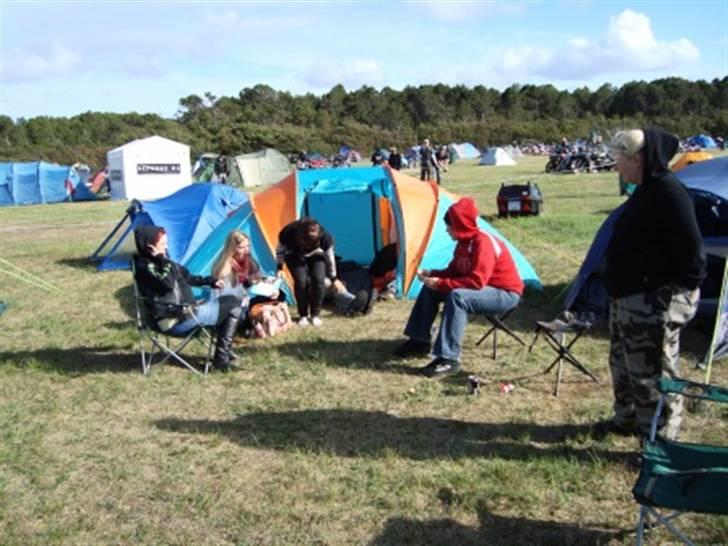 Træf på toppen 2008 med MYGGENE billede 8