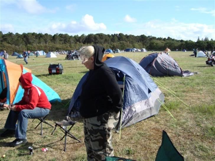 Træf på toppen 2008 med MYGGENE billede 9