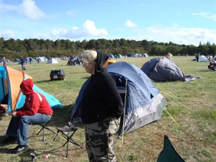 Træf på toppen 2008 med MYGGENE billede 10