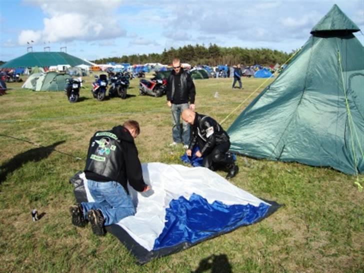 Træf på toppen 2008 med MYGGENE billede 11