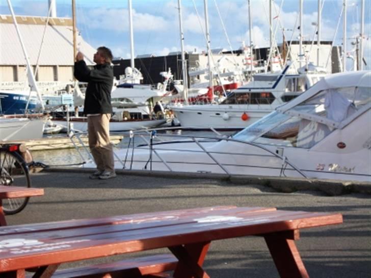 Træf på toppen 2008 med MYGGENE billede 12