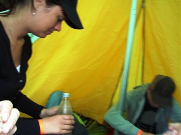 Træf på toppen 2008 med MYGGENE billede 22