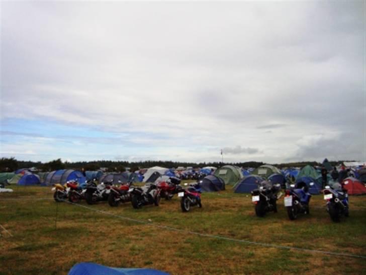 Træf på toppen 2008 med MYGGENE billede 26