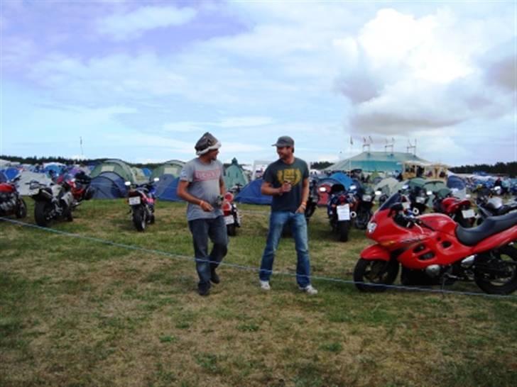 Træf på toppen 2008 med MYGGENE billede 29