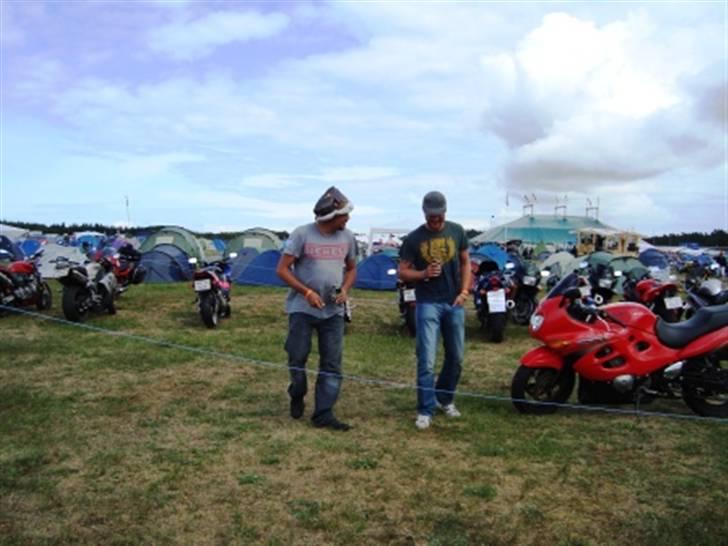 Træf på toppen 2008 med MYGGENE billede 30