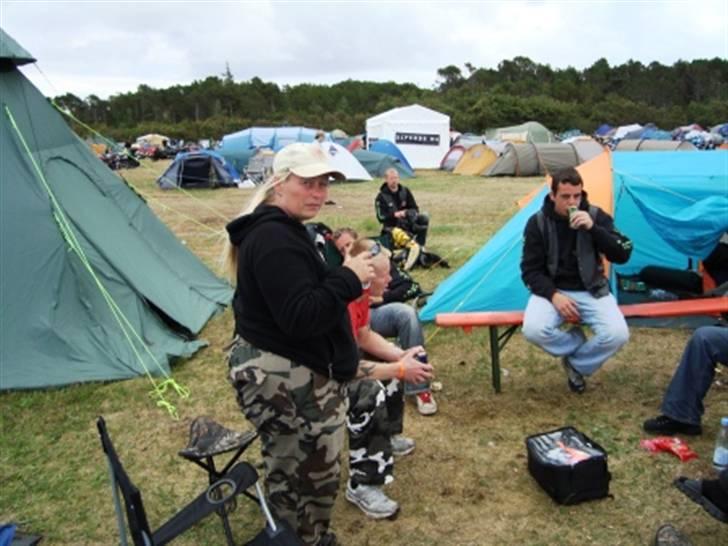 Træf på toppen 2008 med MYGGENE billede 36