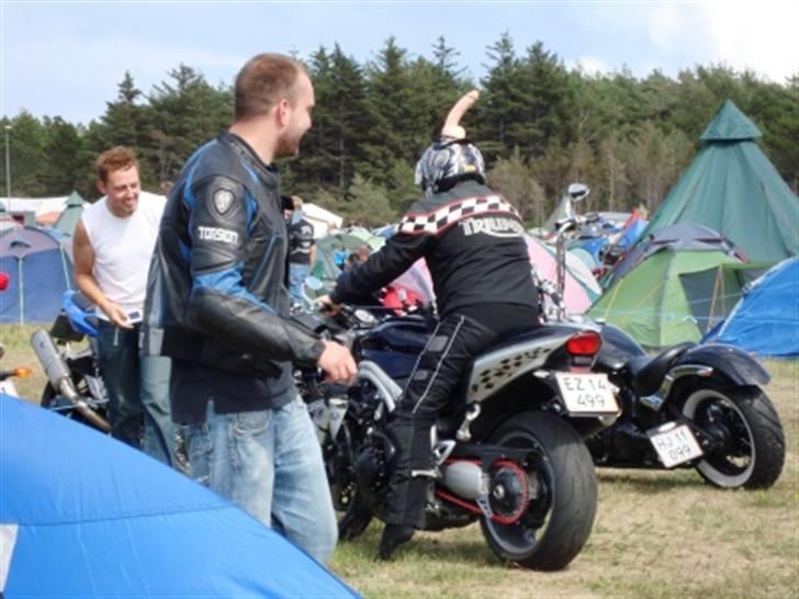 Træf på toppen 2008 med MYGGENE billede 38