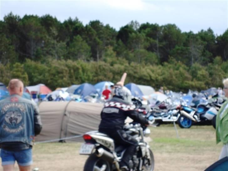 Træf på toppen 2008 med MYGGENE billede 40