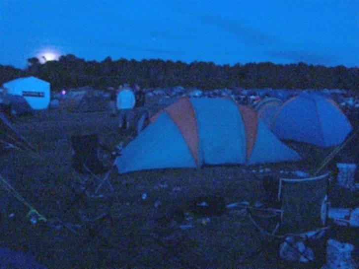 Træf på toppen 2008 med MYGGENE billede 41