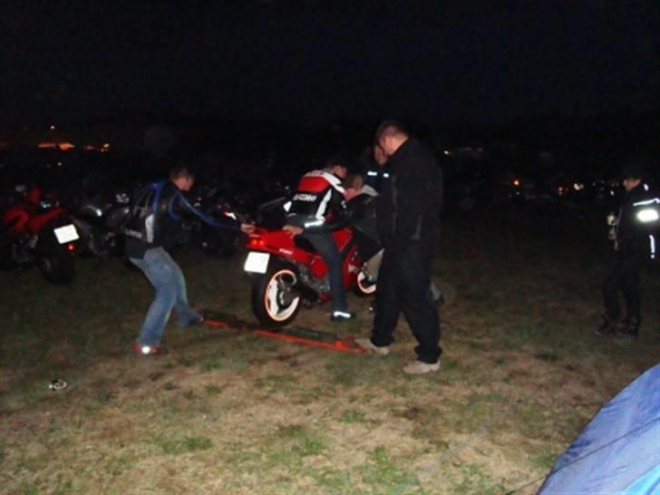 Træf på toppen 2008 med MYGGENE billede 42