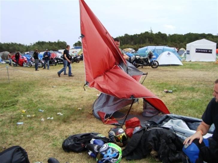 Træf på toppen 2008 med MYGGENE billede 49