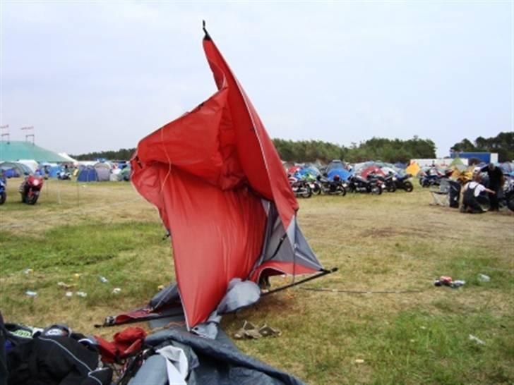 Træf på toppen 2008 med MYGGENE billede 51