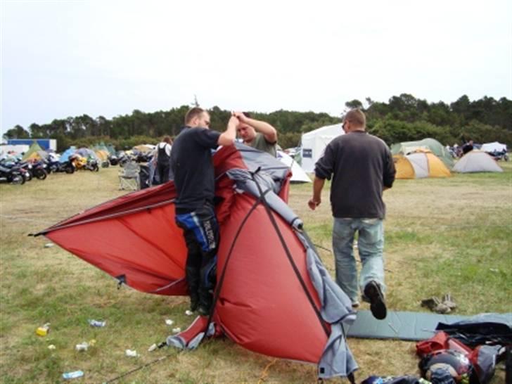Træf på toppen 2008 med MYGGENE billede 55