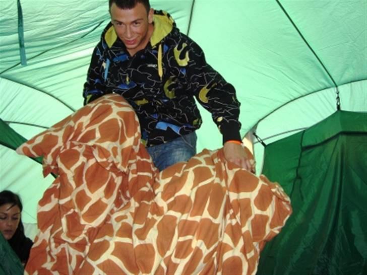 Træf på toppen 2008 med MYGGENE billede 77