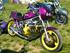 Cbx træf