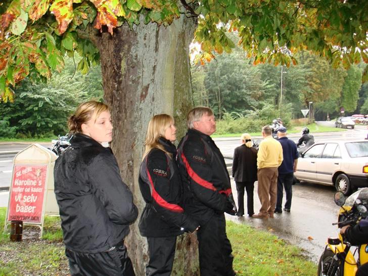 Karolinetræf ved Middelfart - I ly under et træ billede 3