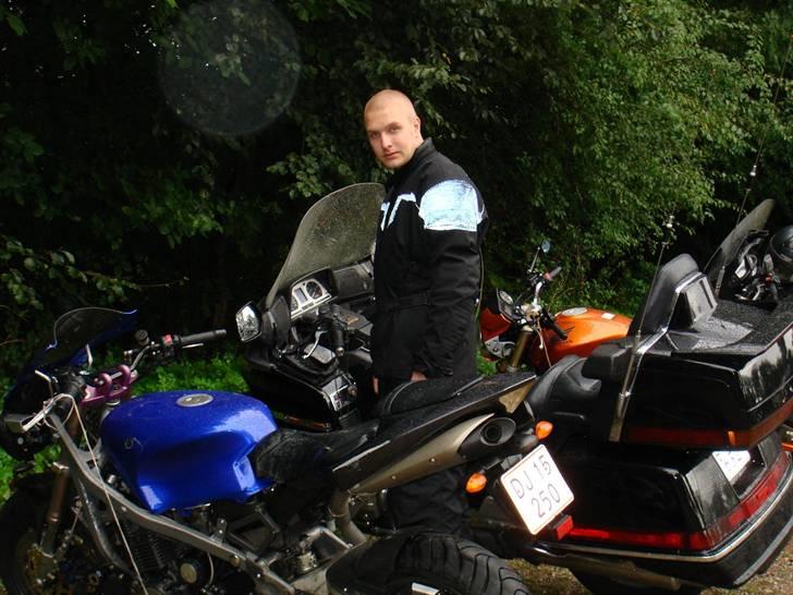 Karolinetræf ved Middelfart billede 5