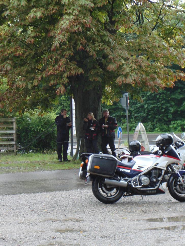 Karolinetræf ved Middelfart - Pølserne kan stadig spises. billede 6