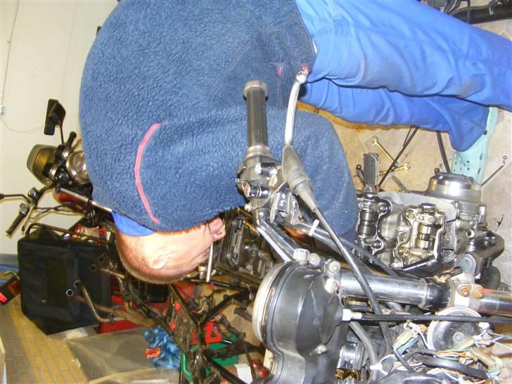 Honda cb 900 F boldor projekt - løbende opdateret  billede 12