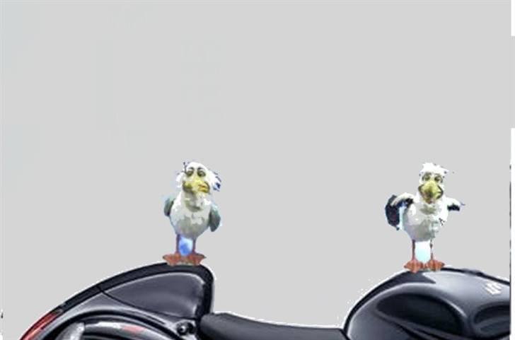 Den nye Scandlines færge - Hej Kaj

Halløj Boye billede 1