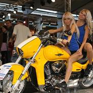 Mc Show 2009