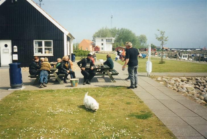 Min første MC og Mit første træf billede 25