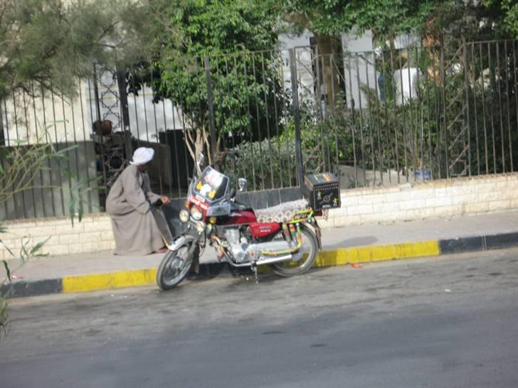 Egyptiske MCs - Hurghada billede 2