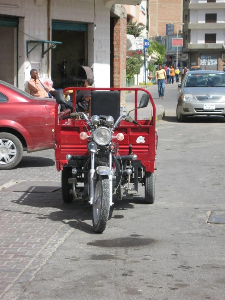 Egyptiske MCs - Hurghada billede 8