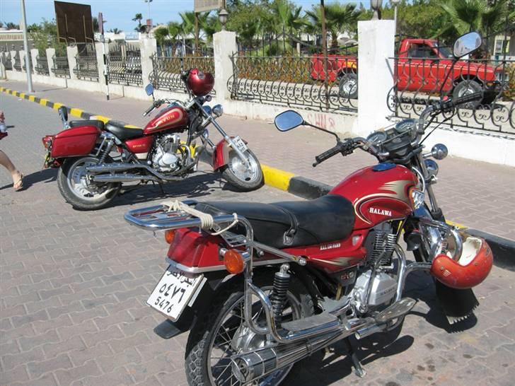 Egyptiske MCs - Hurghada billede 10