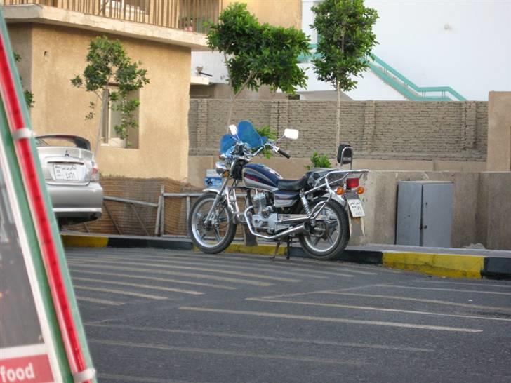 Egyptiske MCs - Hurghada billede 14