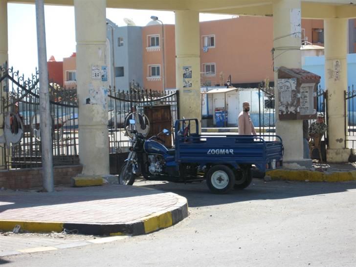 Egyptiske MCs - Hurghada billede 17