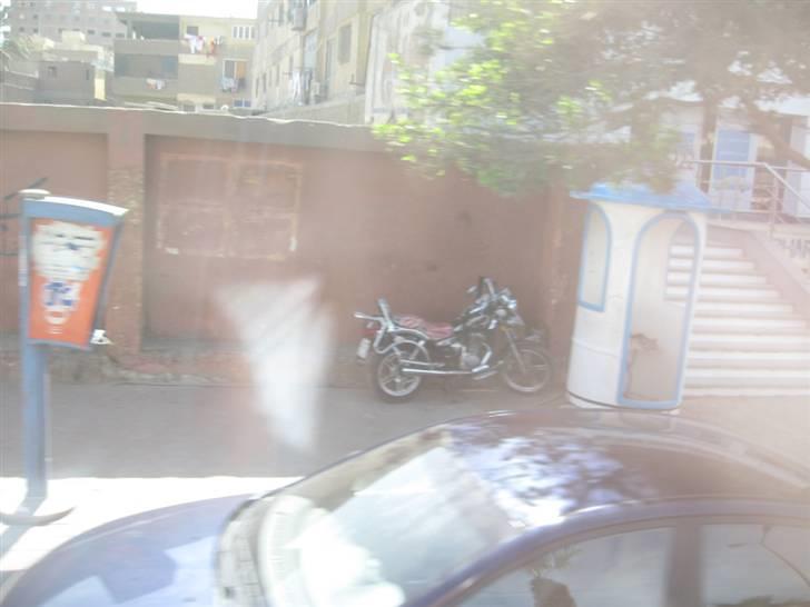 Egyptiske MCs - Hurghada billede 22