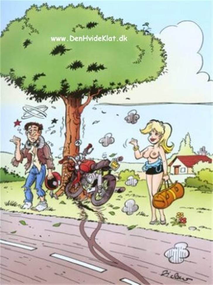 Sjove billeder billede 17
